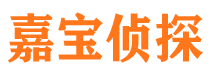 盐湖侦探公司